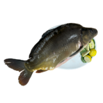 Karp cały patroszony ok. 2 kg - Rezerwacja świąteczna