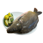 Karp cały patroszony ok. 2 kg - Rezerwacja świąteczna - obrazek 2