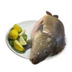 Karp cały patroszony ok. 2 kg - Rezerwacja świąteczna - obrazek 3
