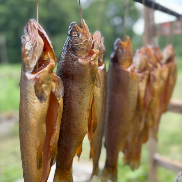 Pstrąg wędzony na gorąco (250–300 g)