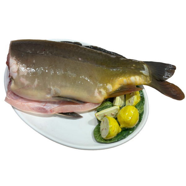 Karp tusza (ok. 1kg)